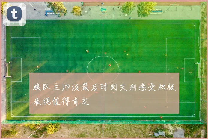 狼队主帅谈最后时刻失利感受积极表现值得肯定