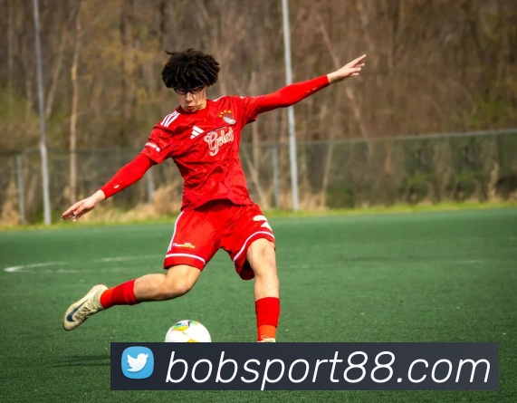 BOB体育APP 高清赛事图